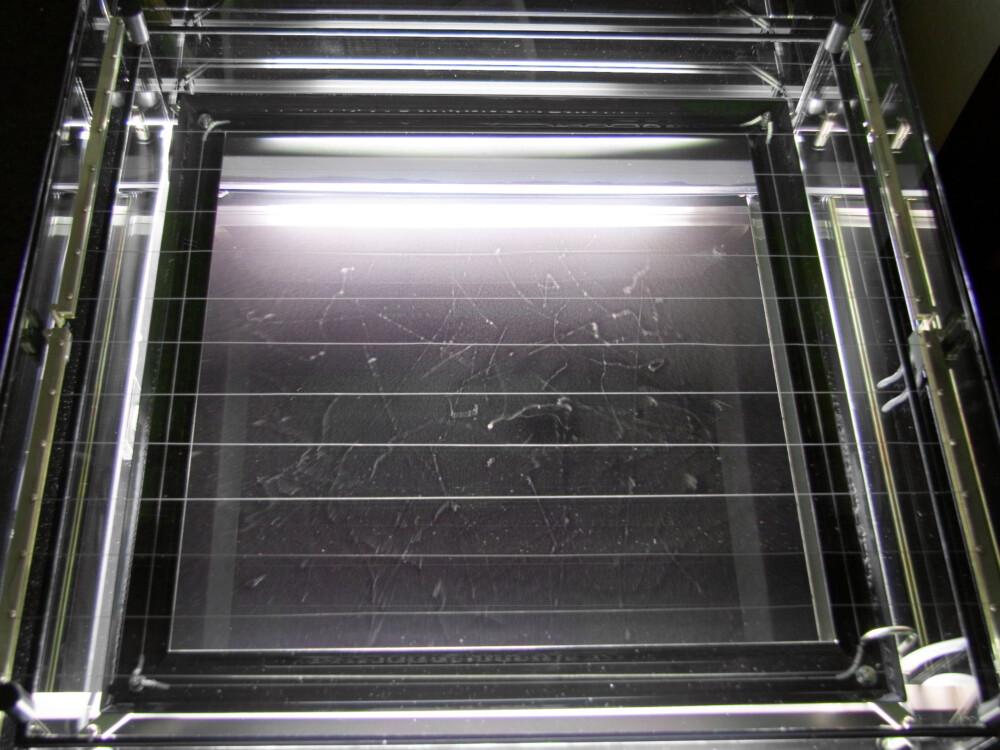 Cloud Chamber