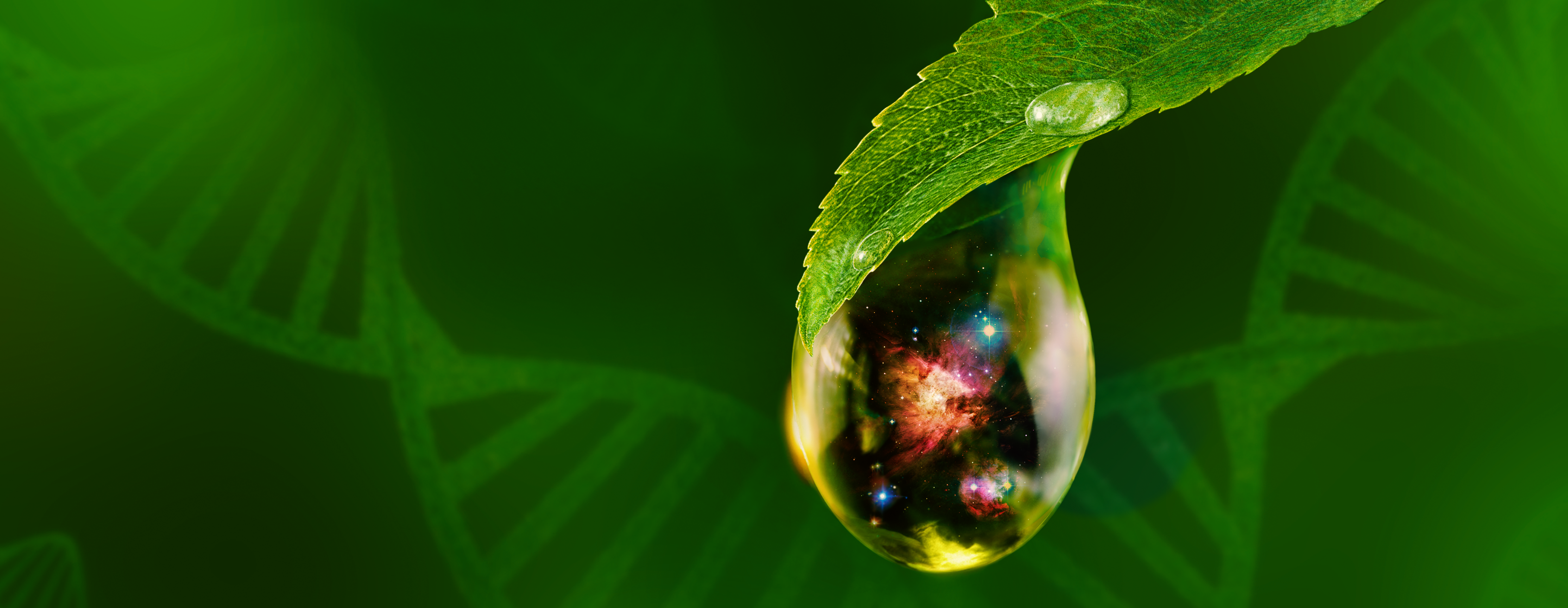 Signs of Life promotional image depicting a drop of water hanging from a leaf. Inside the drop of water is an image of space.